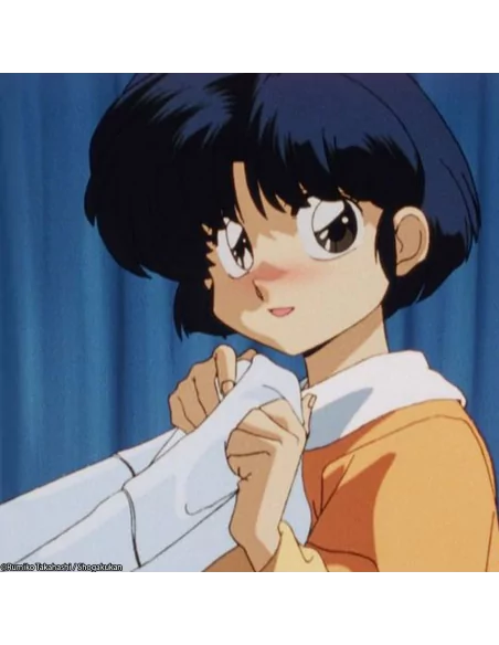 Ranma 1/2 Box 5