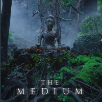 The Medium Dvd 2