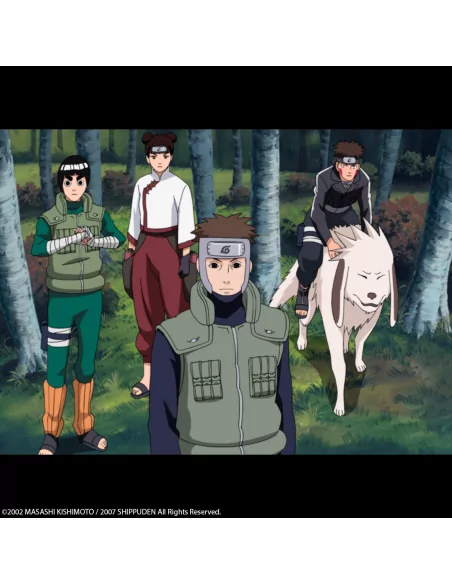 Naruto Shippuden Box 5