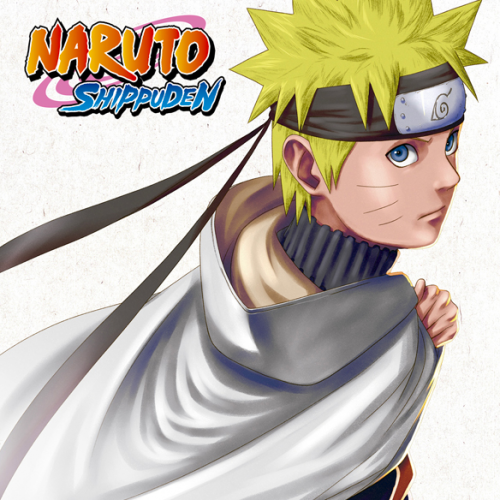 Naruto Shippuden Box 6