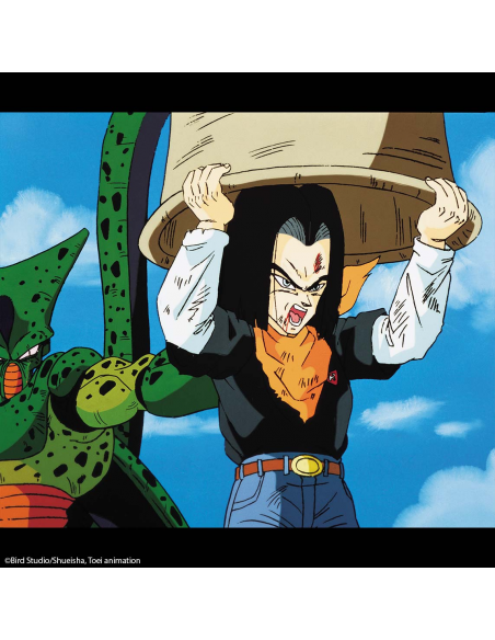 Dragon Ball Z Box 8