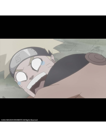 Naruto Box 7