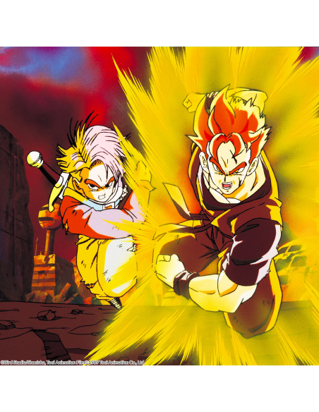 Dragon Ball Z Box 9