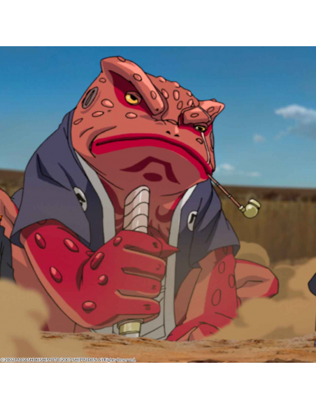 Naruto Shippuden Box 7