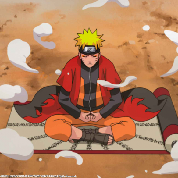 Naruto Shippuden Box 7