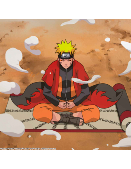 Naruto Shippuden Box 7