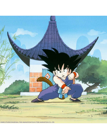 Dragon Ball Bluray Adventure Box 1