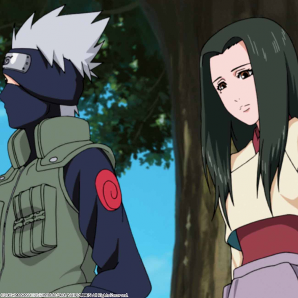 Naruto Shippuden Box 8