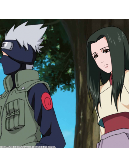 Naruto Shippuden Box 8