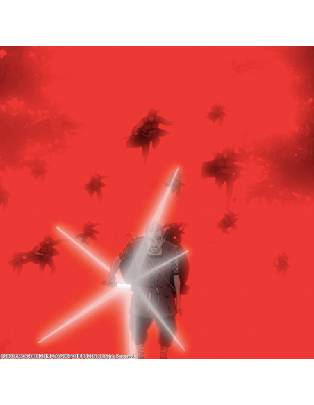 Naruto Shippuden Box 8