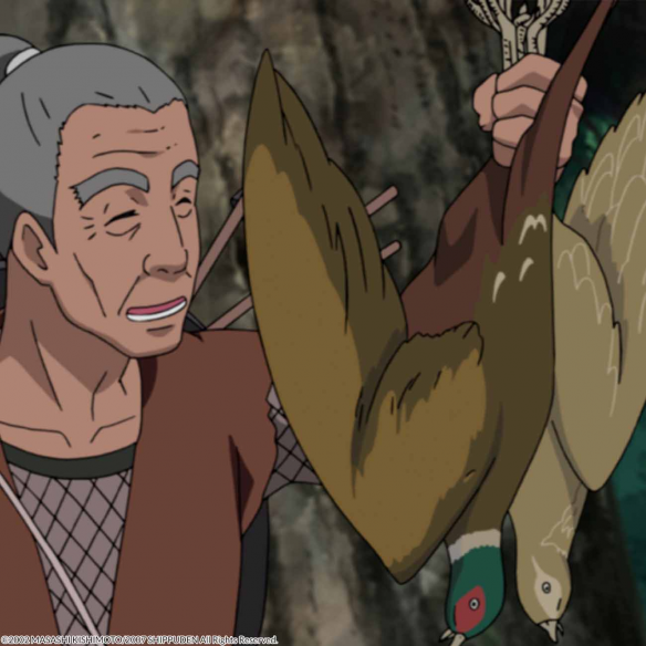 Naruto Shippuden Box 8