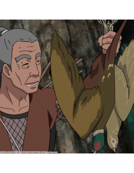 Naruto Shippuden Box 8