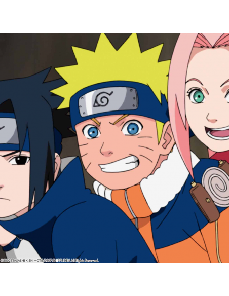 Naruto Shippuden Box 8