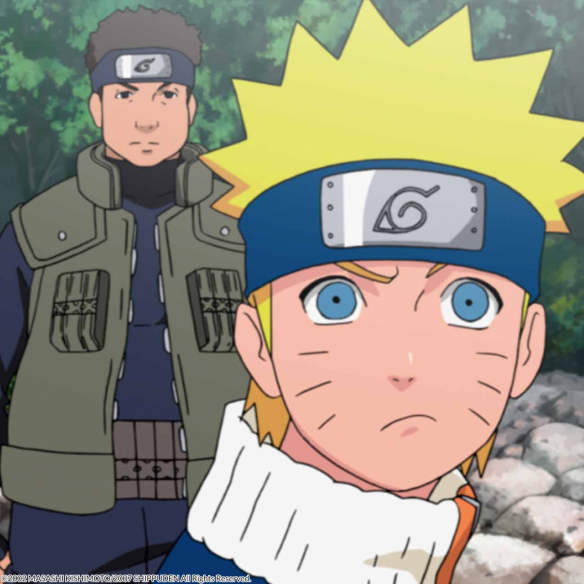 Naruto Shippuden Box 8