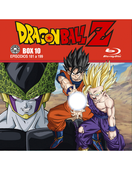 Dragon Ball Z Box 10