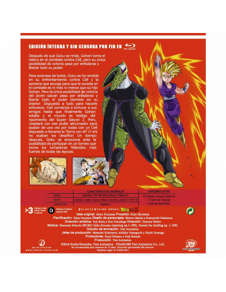 Dragon Ball Z Box 10