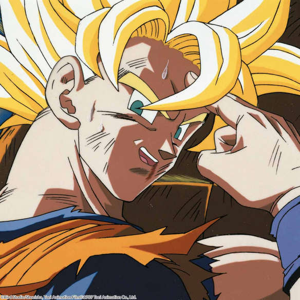 Dragon Ball Z Box 10