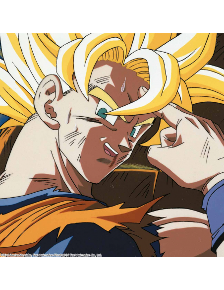 Dragon Ball Z Box 10