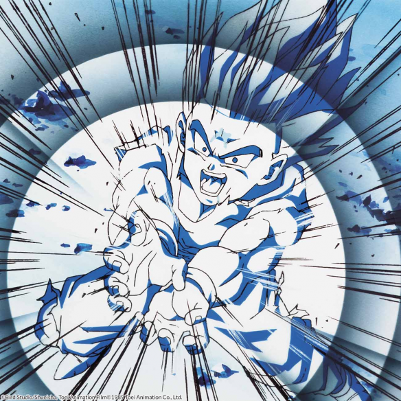 Dragon Ball Z Box 10