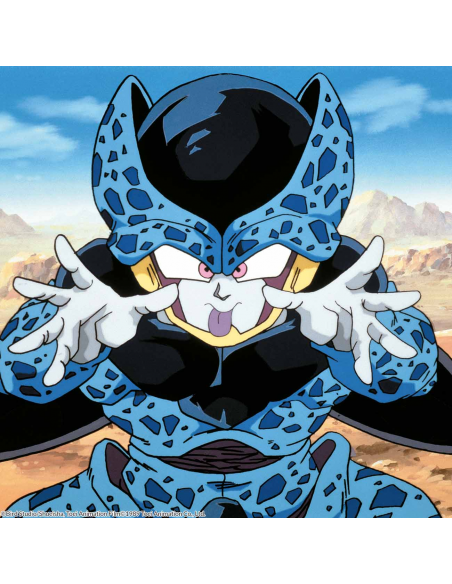 Dragon Ball Z Box 10