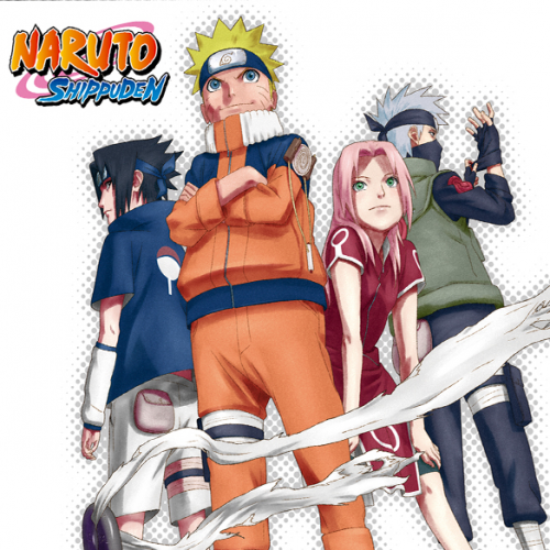 Naruto Shippuden Box 8