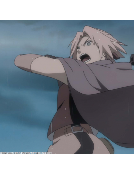 Naruto Película 6. Naruto Shippuden Película 3: Los Herederos De La Voluntad De Fuego