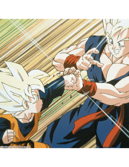 Dragon Ball Z Box 11