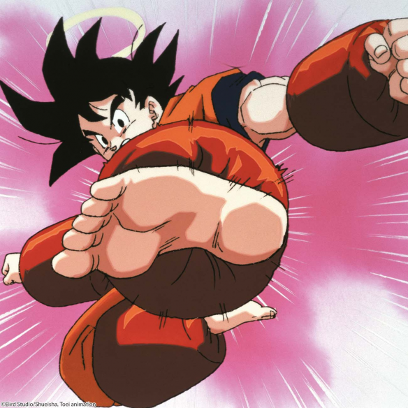 Dragon Ball Z Box 11