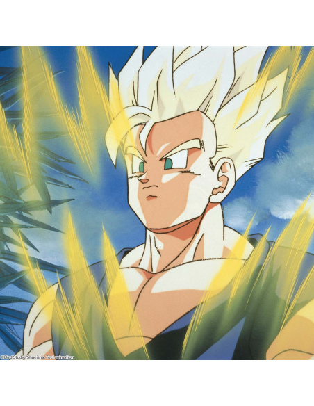 Dragon Ball Z Box 11