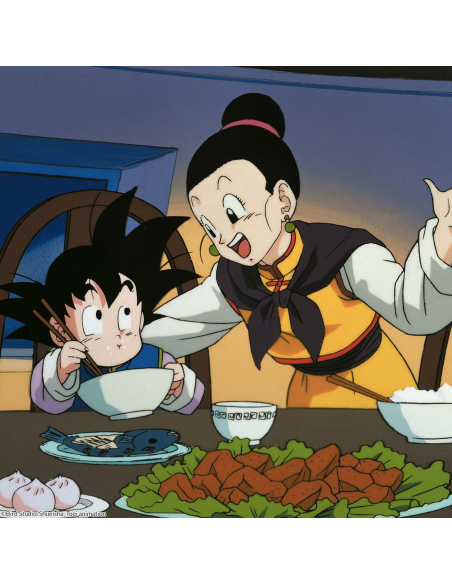 Dragon Ball Z Box 11