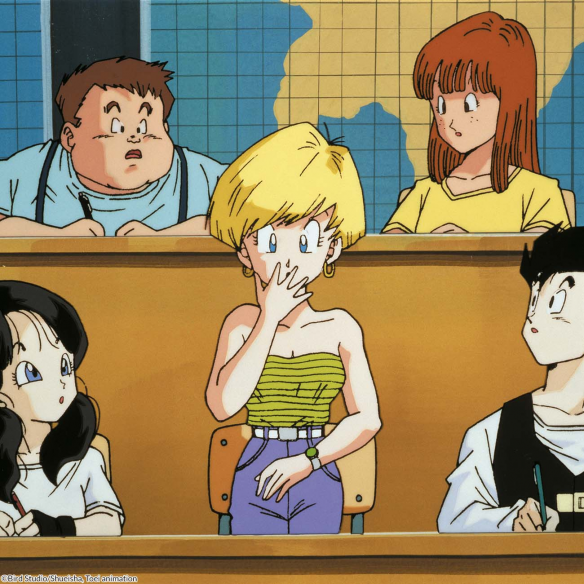 Dragon Ball Z Box 11