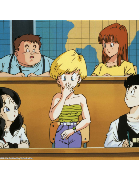 Dragon Ball Z Box 11