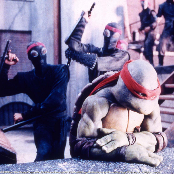 Teenage Mutant Ninja Turtles: Las...