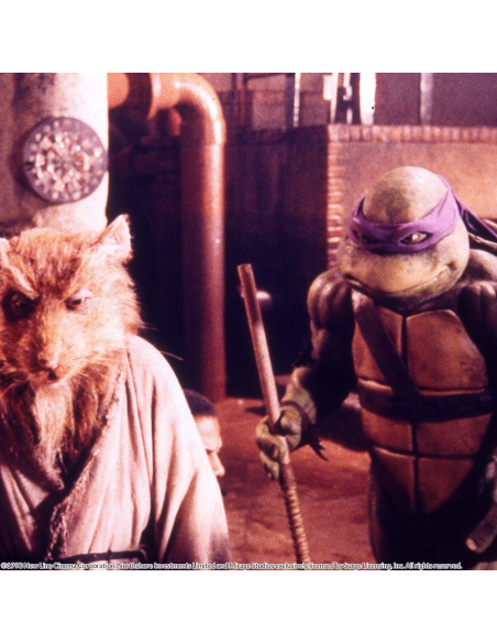 Teenage Mutant Ninja Turtles: Las Películas Originales 1 Y 2