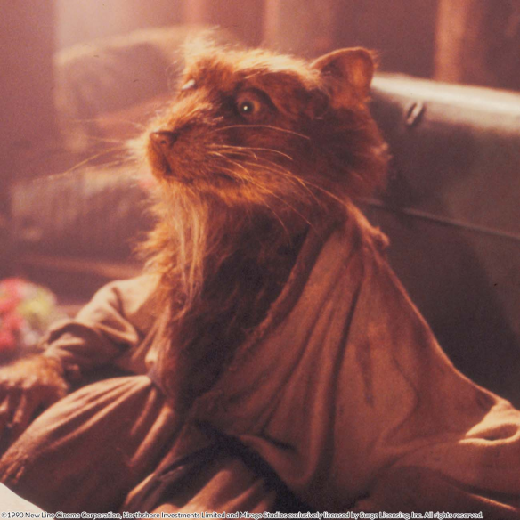 Teenage Mutant Ninja Turtles: Las...