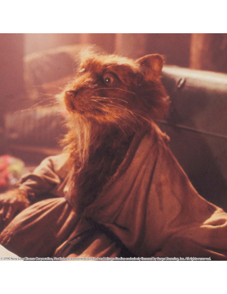 Teenage Mutant Ninja Turtles: Las Películas Originales 1 Y 2