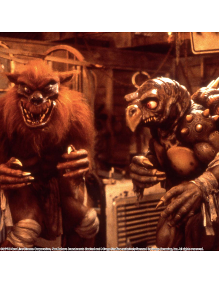 Teenage Mutant Ninja Turtles: Las Películas Originales 1 Y 2