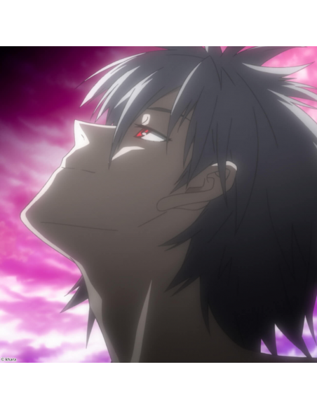 Suscripción Películas Evangelion. Bluray