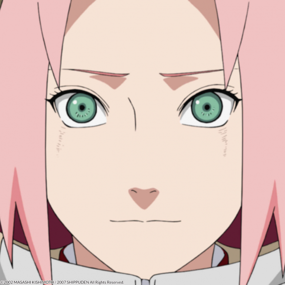 Suscripción Naruto Shippuden Parte 2....