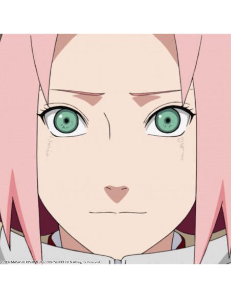 Suscripción Naruto Shippuden Parte 2. Bluray