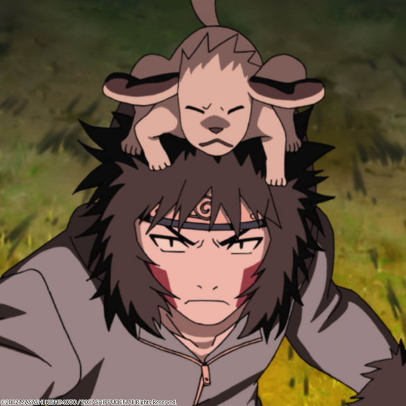 Naruto Shippuden Box 9