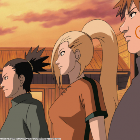 Naruto Shippuden Box 9