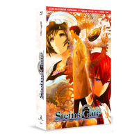 Steins Gate Serie Completa 2