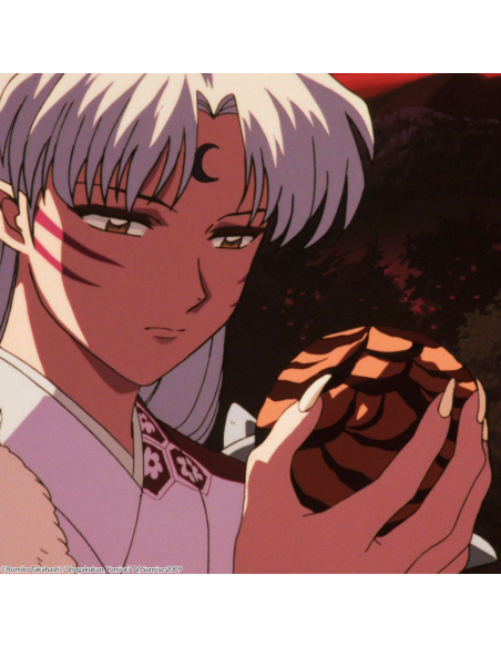 Inuyasha Monster Box 2024