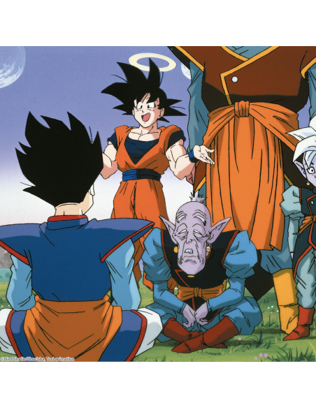 DRAGON BALL Z BOX 13 BLURAY episodios 248 a 270