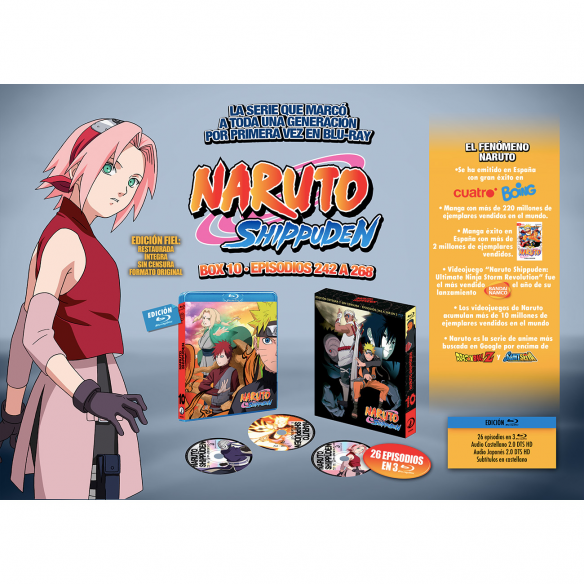 Naruto Shippuden Box 10
