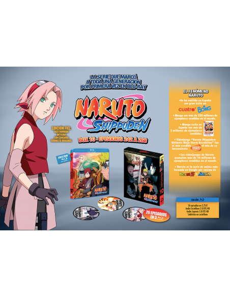 Naruto Shippuden Box 10