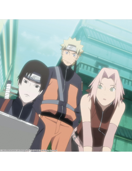 Naruto Shippuden Box 10