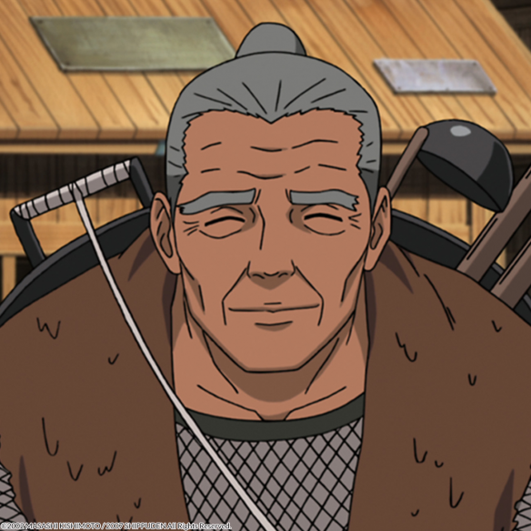 Naruto Shippuden Box 10