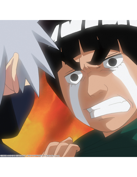 Naruto Shippuden Box 10